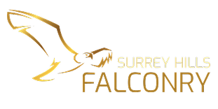 Surrey Hills Falconry